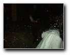 [Click to enlarge]